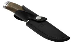 Buck 192 GRSLE Vanguard, 0192GRSLE Limited Edition, Cuchillo De Caza -Navaja Tienda BUCK0192GRSLE 06 buck
