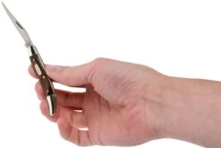 Buck Toothpick 385BRS Navaja Slipjoint -Navaja Tienda BUCK385BRS 07 buck