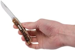 Case Sod Buster Jr Amber Jigged Bone, 245 6137 SS Navaja -Navaja Tienda CE245 09 case ce245 09