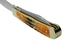 Case Trapper 65329, 6.5 BoneStag, Navaja -Navaja Tienda CE65329 05 case