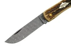 Case Sod Buser Jr 77461 Damascus Vintage Bone, Navaja -Navaja Tienda CE77461 03 case