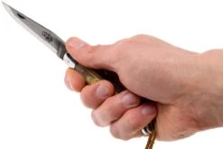 Forge Laguiole 12110INCABDF, Cuerno Aubrac 15 Forge Laguiole 12110INCABDF, Cuerno Aubrac -Navaja Tienda LA12110INCABDF 07 forge de laguiole la12110incabdf 07