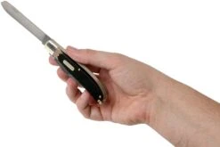 Old Timer Bearhead Trapper 96OT, Navaja Slipjoint 11 Old Timer Bearhead Trapper 96OT, Navaja Slipjoint -Navaja Tienda OT96OT 05 schrade old timer