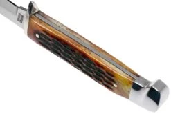 Rough Ryder Small Hunter Amber Bone RR1033 Cuchillo De Caza -Navaja Tienda RY1033 04 rough ryder
