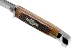 Rough Ryder Small Hunter Amber Bone RR1033 Cuchillo De Caza -Navaja Tienda RY1033 05 rough ryder