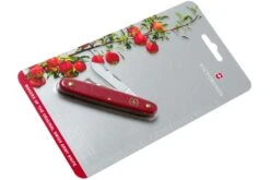 Victorinox Cuchillo De Injerto Combi S 3.9040.B1 Rojo -Navaja Tienda VT3 9040 B1 07 victorinox